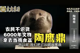 陕西农民犁地捡到宝，放院子里当鸡食盆，考古队拿走成国宝级文物视频封面