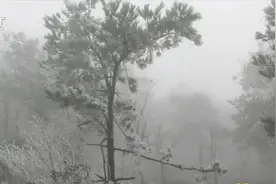 余姚四明山下起今冬首场雪视频封面