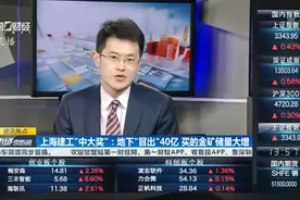 地下“冒出”40亿！上海建工金矿储量大增 但为何涨停封不住？