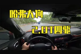 【第一视角】哈弗大狗2.0T四驱，你买我推荐，我可能不会买视频封面