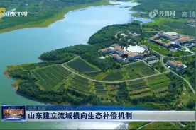 山东建立流域横向生态补偿机制，每个断面补偿资金不低于1000万元视频封面