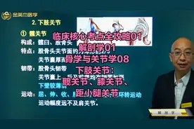 临床解剖学：下肢关节：髋关节、膝关节、距小腿关节构成及运动等视频封面