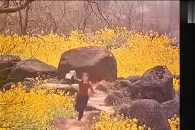 经典老片：70年代农村真美，姑娘还梳大辫子，现在却看不到了