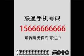 史上最贵手机靓号，起拍价1366万！网友：图啥，图骚扰电话多吗