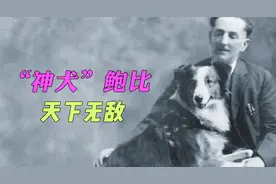 “神犬”鲍比天下无敌，韧性最强的冠军犬，200年前已有归属！视频封面