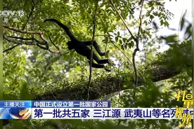 中国正式设立第一批国家公园，三江源、武夷山等名列其中|24小时视频封面