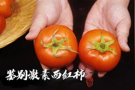 西红柿打不打激素？看一眼这个“小机关”就知道，远离催熟西红柿视频封面