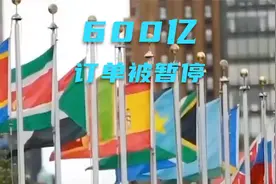 西方预言不幸言中，600亿投资被暂停，好心再被错付！视频封面