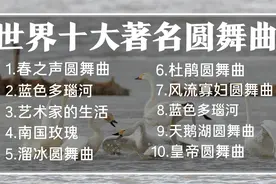 【高清720P 】世界十大著名圆舞曲锦集视频封面