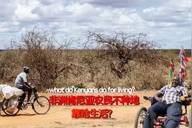 非洲肯尼亚农民为什么不种地？他们日常靠什么生活？看着太难了！视频封面