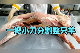 只用一把小刀分割整只羊，看蒙古大厨如何操作@美食作家王刚视频封面