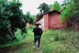 广西玉林发现一无人村，人去楼空，六点前必须离开？视频封面