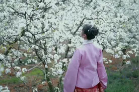 出门不想戴口罩？穿汉服去无人山野看梨花吧！