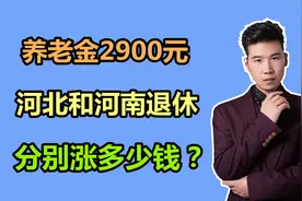 养老金2900元，在河北和河南的调整金额，哪里涨得高？差距大吗？视频封面