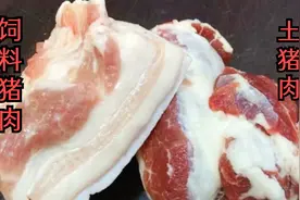 “土猪肉”和“饲料猪肉”如何区分？教你3招就看清，涨知识了视频封面