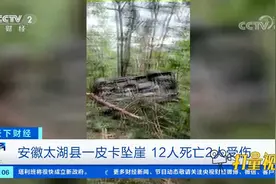 安徽太湖县一皮卡坠崖，12人死亡2人受伤|天下财经视频封面