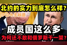 北约的实力到底如何？成员国这么多，为何还不敢和俄罗斯干一架？视频封面