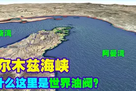 霍尔木兹海峡为什么被称为世界油阀？地形又是什么样子？知识青年视频封面