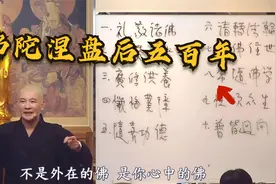 佛陀涅盘后的五百年，没有所谓的佛形象，那时候观想什么呢？视频封面