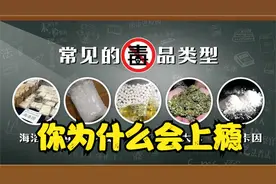 所谓瘾是个什么东西？为什么你会上瘾？要怎么戒掉？视频封面