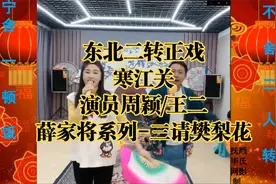 东北二人转正戏-寒江关-全本 演员周颖/王二 -三请樊梨花视频封面