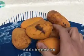 芒果保存不好变黑了还能不能吃？答案都在这里，我也是现在才知道视频封面