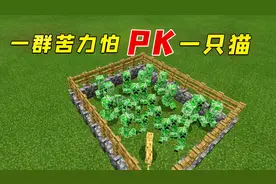 我的世界：一群苦力怕遇上1只猫，会发生什么？太意外