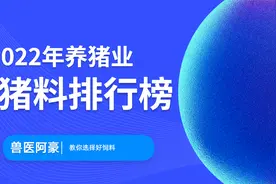 哪种饲料好用？2022年饲料排行榜新鲜出炉，看看你的饲料在榜不视频封面
