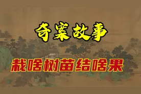 奇案故事之栽啥树苗结啥果