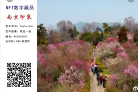 周曙东6: 农业元宇宙应用场景-NFT数字藏品视频封面