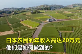 日本农业发达，农民的年收入高达20万元，他们是如何做到的？视频封面