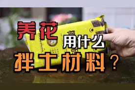 养花用什么拌土？园艺师教你，用椰糠，疏松透气又便宜视频封面