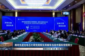 潍坊先进光电芯片研究院院长郑婉华当选中国科学院院士视频封面