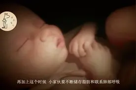到了这个孕周，胎儿变得不爱“动”了，孕妈别担心，其实是好事视频封面