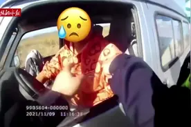 男子无证驾驶偷来的面包车被查获视频封面