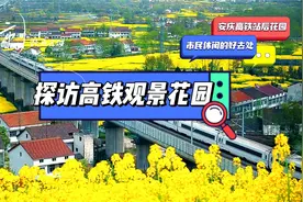 探访高铁观景公园  安庆高铁站的后花园  市民休闲的好去处视频封面