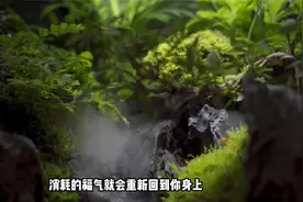 遇到不顺时，去做3件事，好运自来找你视频封面