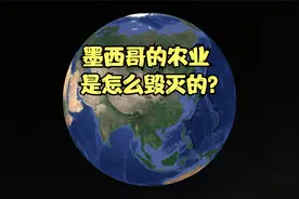 借来的工业化，农民破产，毒枭泛滥，墨西哥沦为美国的“打工仔”视频封面