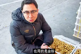 龙眼分为不同规格和等级，根据经验选择品质好的产品提供给大家视频封面