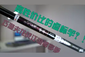 传说网上高性价比的虚标竿——巧渔夫龙战江湖钓竿测评视频封面