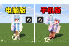 我的世界：手机版对比电脑版，落地水也有不同的操作！视频封面