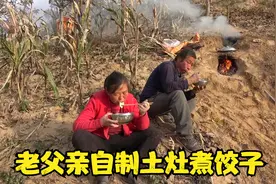 大春父母上山收秋，老父亲又自制土灶煮饺子，吃饭干活两不误视频封面