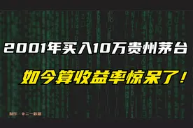 2001年买入10万元贵州茅台，分红再买入，如今实现财富自由了吗？视频封面