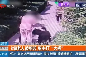 8旬老人被狗咬，狗主人竟然打“太极”，一时竟分不清谁是狗视频封面