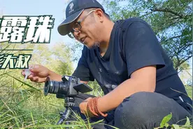 如何拍摄一张好看的露珠？老徐带你一起实战，露珠需要特殊道具哦视频封面