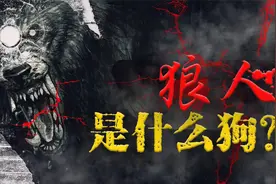 狼人起源与怪谈，历史上真实的变身狼人事件！他们隐藏在人群之中视频封面
