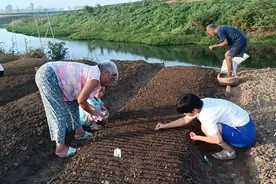 河南南阳：育菜苗了，三天全部育完，看看今年种的啥菜呢