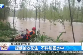 平顶山：女子地里抢收花生，遇暴雨困水中，消防搭绳索救援！视频封面