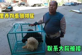 六旬老人楼里养狗，犬声太大惹到邻居，联系流浪狗基地被接回生活视频封面