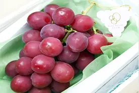 世界上最贵的葡萄，一串葡萄卖出8万天价！视频封面